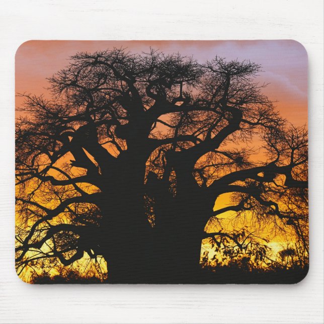 African baobab tree, Adansonia digitata, Mouse Pad (Front)