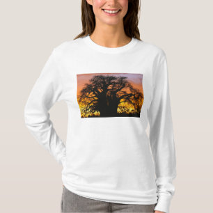 African baobab tree, Adansonia digitata, T-Shirt