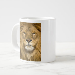 African Barbary Lion, Panthera leo leo, one of Large Coffee Mug