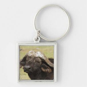 African Buffalo, Syncerus caffer Keychain