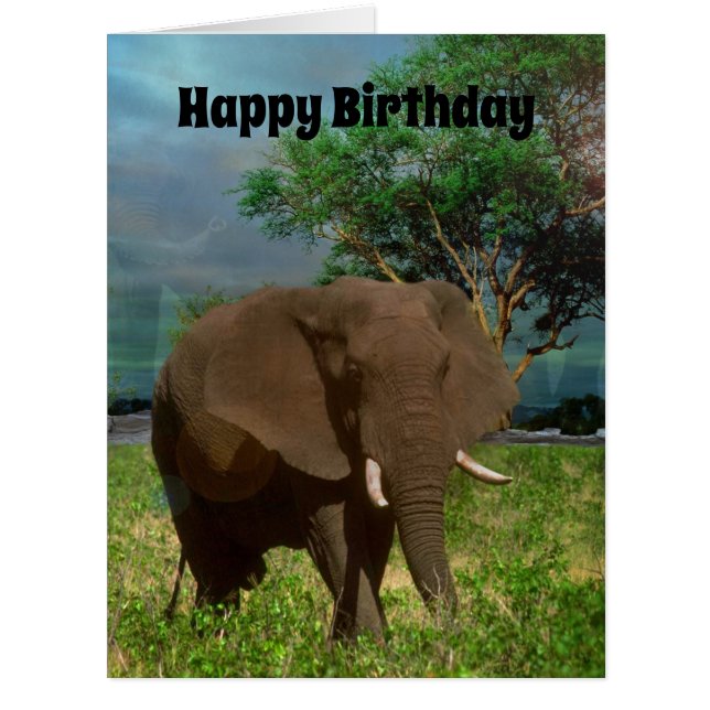 African Bull Elephant, Jumbo Birthday Card (Devant)