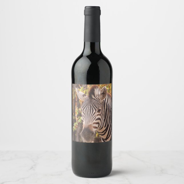 African Burchell's zebra with stripes in bushveld Wine Label (Front)