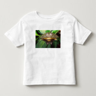 African Burrowing Bullfrog, Pyxicephalus 2 Toddler T-shirt