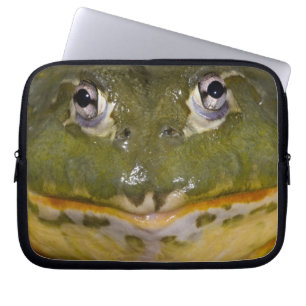 African Burrowing Bullfrog, Pyxicephalus Laptop Sleeve
