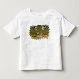 African Burrowing Bullfrog, Pyxicephalus Toddler T-shirt