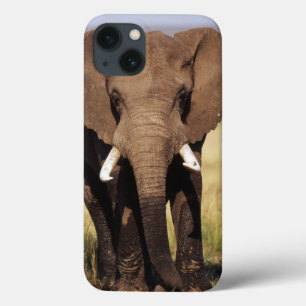 African Bush Elephant iPhone 13 Case