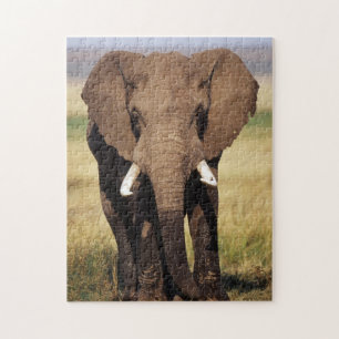 African Bush Elephant Jigsaw Puzzle