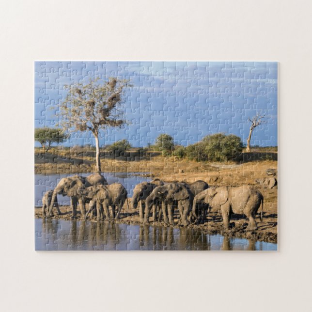 African Bush Elephant (Loxodonta Africana) Herd Jigsaw Puzzle (Horizontal)