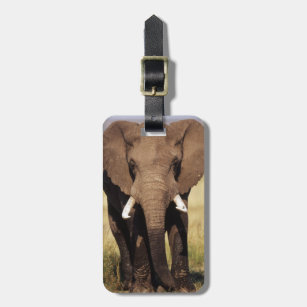 African Bush Elephant Luggage Tag