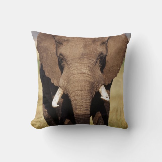 African Bush Elephant Throw Pillow (Front)
