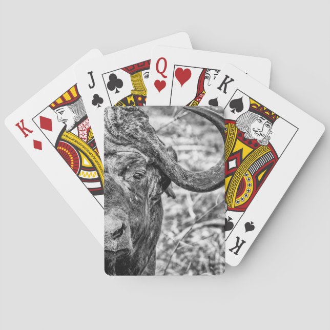 African Cape Buffalo Portrait Playing Cards (Back)