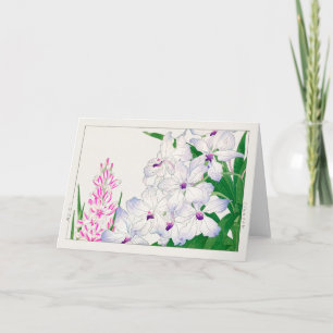 African corn lily, Vanda coerulea, Tanigami Konan Card