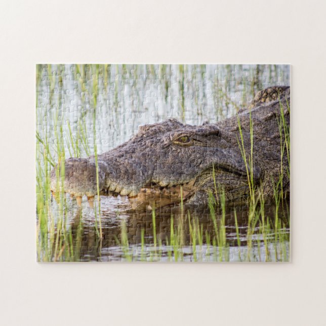 African Crocodile Jigsaw Puzzle (Horizontal)