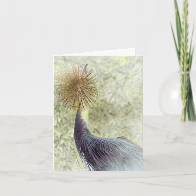 african crowned crane — invert card (Front)