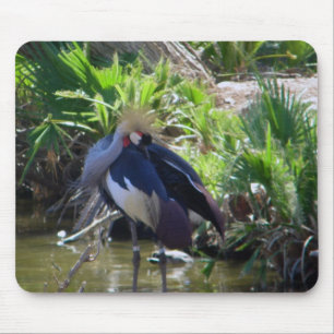 African crowned crane mousepad
