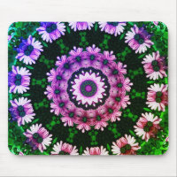 African Daisies Abstract Flower Art