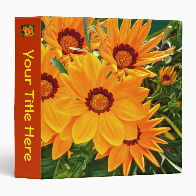 African Daisies Binder (Front/Spine)