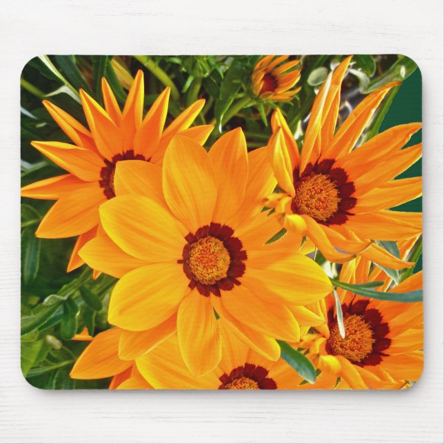 African Daisies Mousepad (Front)