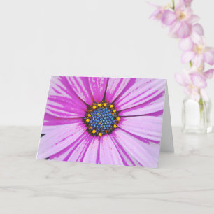 African Daisy Art Pink Flower Note Card