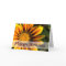 African Daisy • Birthday Card