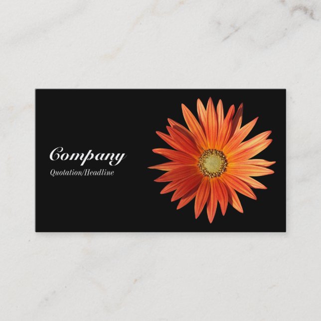 African Daisy - Black Business Card (Front)
