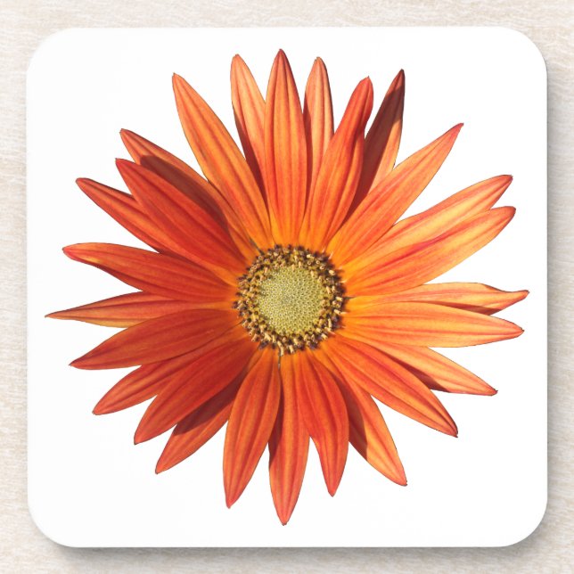 African Daisy Coaster (Front)