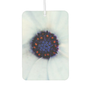 African Daisy Flower Air Freshener