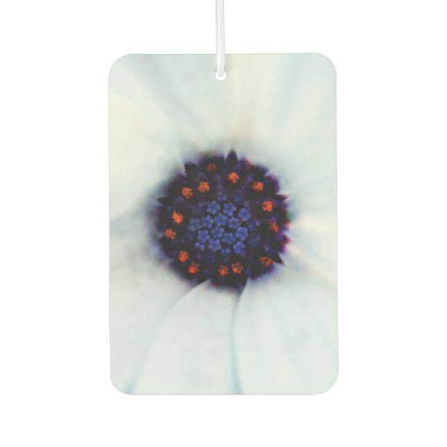 African Daisy Flower Air Freshener (Front)