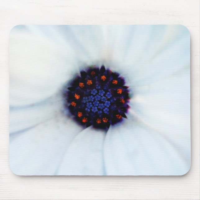 African Daisy Flower Mouse Pad (Front)