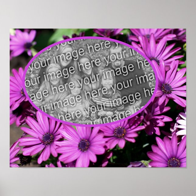 African Daisy Flowers Frame Create Your Own Photo  Poster (Front)