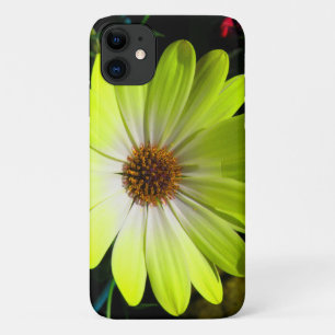 African Daisy Fluorescent Yellow iPhone 3 Case