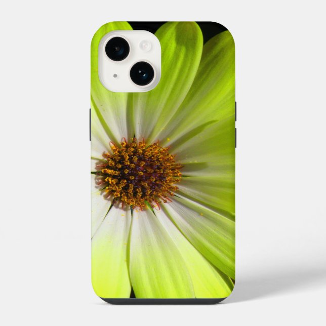 African Daisy Fluorescent Yellow iPhone Case (Back)