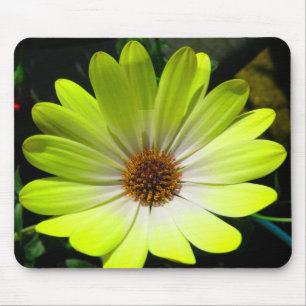 African Daisy Fluorescent Yellow Mousepad