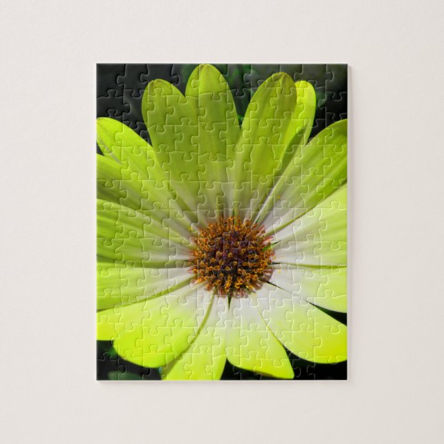 African Daisy Fluorescent Yellow Puzzle (Vertical)