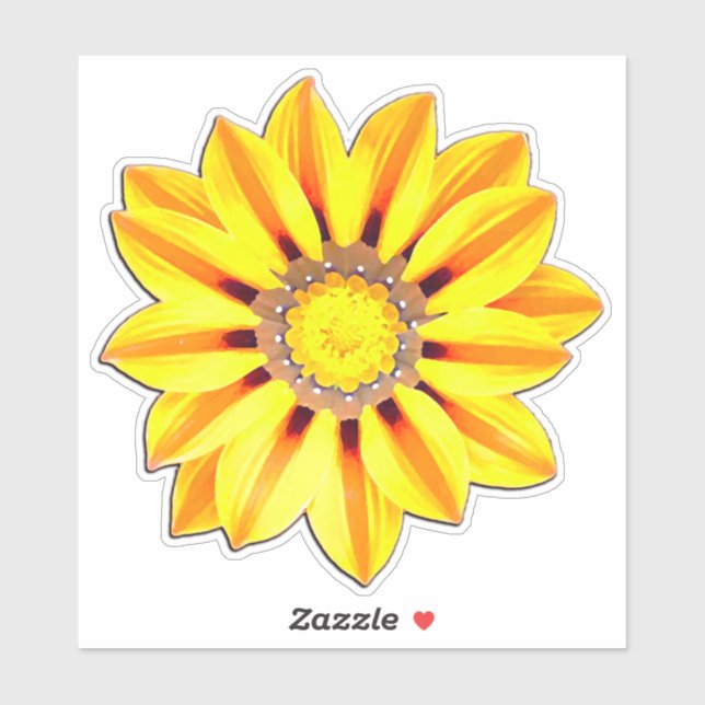 African Daisy / Gazania Orange and Yellow (Sheet)