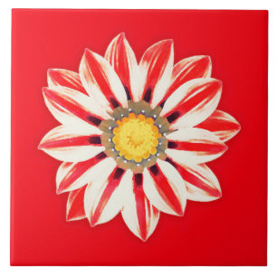 African Daisy / Gazania - Red and White Striped Tile