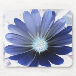 African Daisy Glowing Blue Mousepad