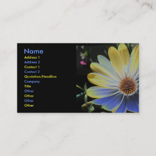 African Daisy Lapis and Gold Custom Business Card