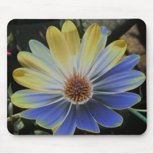 African Daisy Lapis and Gold Mousepad