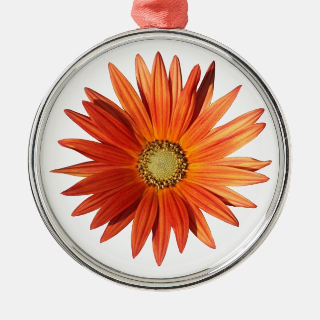 African Daisy Metal Ornament (Front)