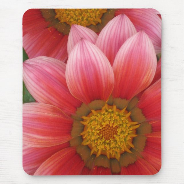 African Daisy Mouse Pad (Front)
