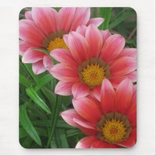 African Daisy Mouse Pad