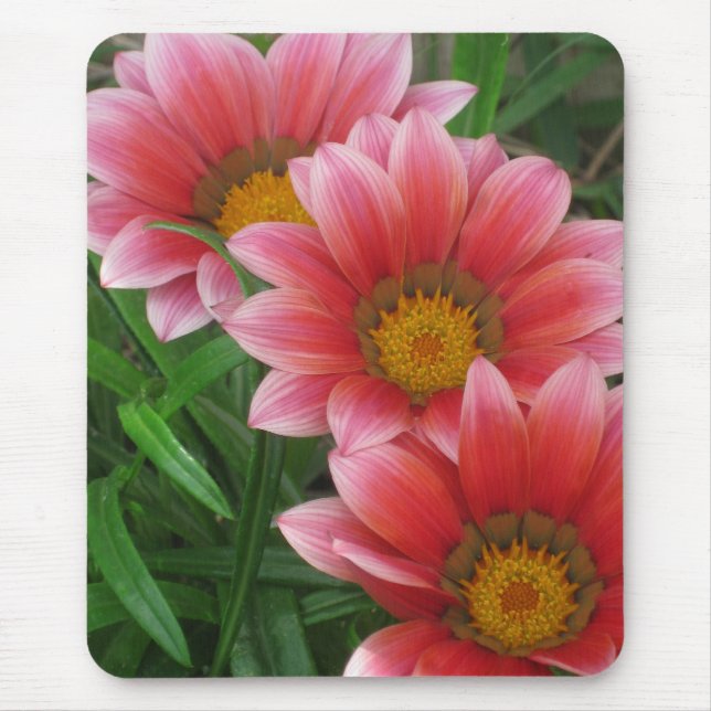 African Daisy Mouse Pad (Front)