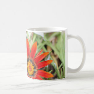 African Daisy mug