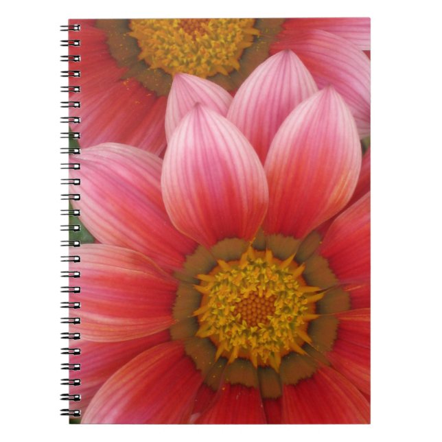 African Daisy Notebook (Front)