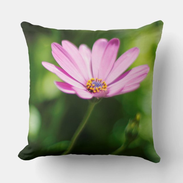 African daisy throw pillow (Front)