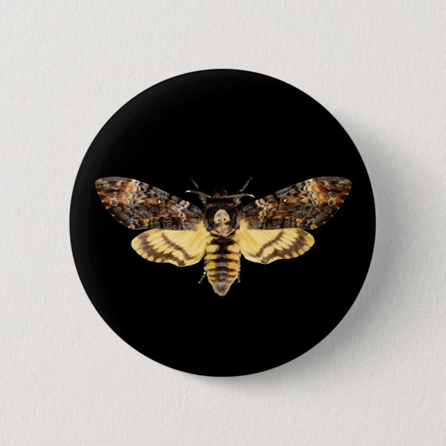 african death head moth butterfly insect Acheronti 2 Inch Round Button (Front)