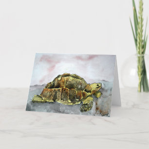 african desert tortoise land turtle greeting card