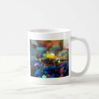 African Dwarf Frog Coffee Mug