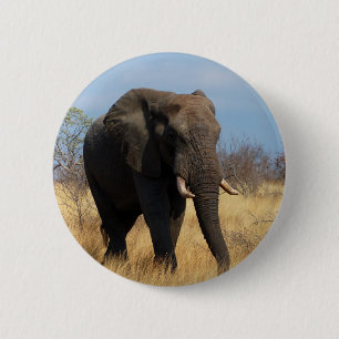 African Elephant 2 Inch Round Button